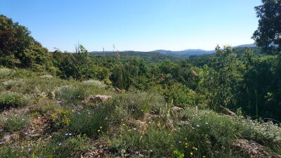 Photo prise liée au parcours