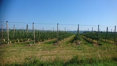 Photo prise liée au parcours