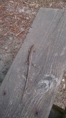Photo prise liée au parcours