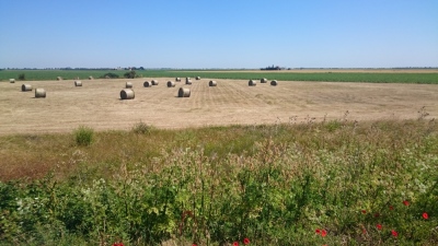 Photo prise liée au parcours