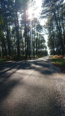 Photo prise liée au parcours