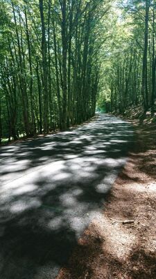 Photo prise liée au parcours