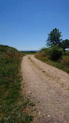 Photo prise liée au parcours
