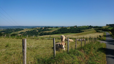 Photo prise liée au parcours