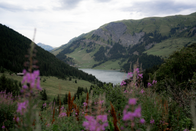 Photo prise liée au parcours