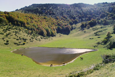 14 Boucle de Campagna - Campagna-de-Sault - Photo 1