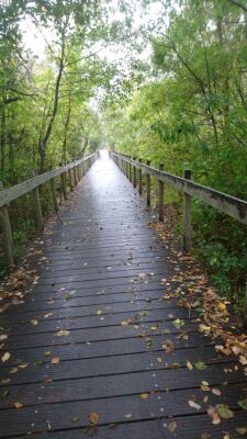 Photo prise liée au parcours