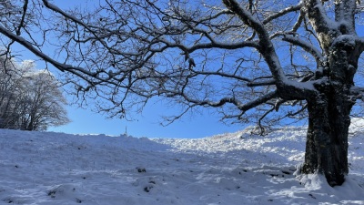 Photo prise liée au parcours
