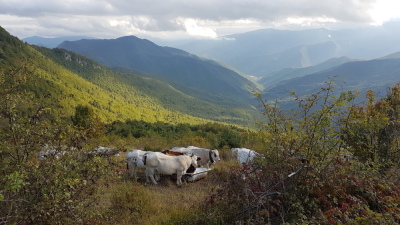 Photo prise liée au parcours
