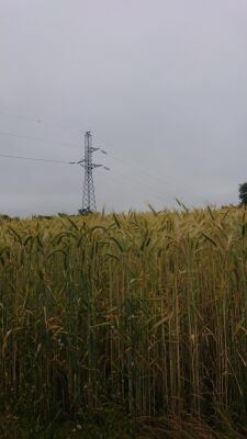 Photo prise liée au parcours