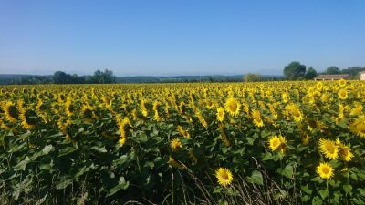 Photo prise liée au parcours