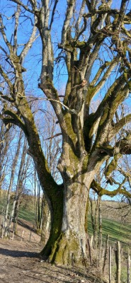 Photo prise liée au parcours