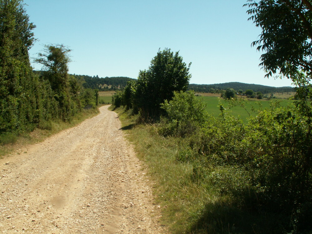 Plateau de Sauveterre de Rouergue.