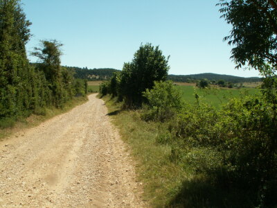 Plateau de Sauveterre de Rouergue.