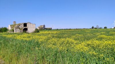 Photo prise liée au parcours