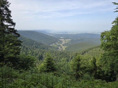 3 - Randonnée : Circuit du Schneeberg - Wangenbourg-Engenthal - Photo 7
