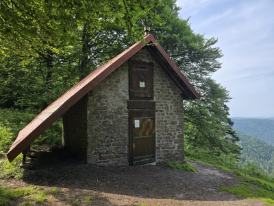 3 - Randonnée : Circuit du Schneeberg - Wangenbourg-Engenthal - Photo 8