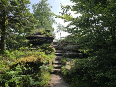 3 - Randonnée : Circuit du Schneeberg - Wangenbourg-Engenthal - Photo 9