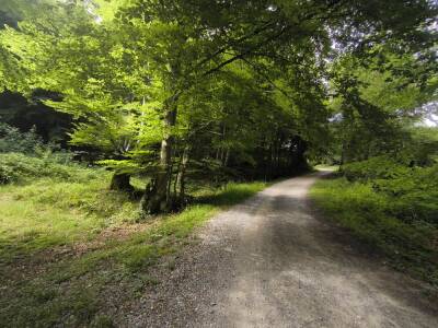 Photo prise liée au parcours