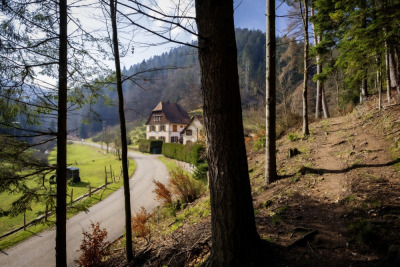 5 - Randonnée : Circuit des Rochers - Wangenbourg-Engenthal - Photo 3