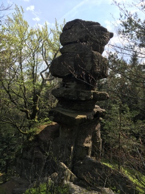 5 - Randonnée : Circuit des Rochers - Wangenbourg-Engenthal - Photo 2