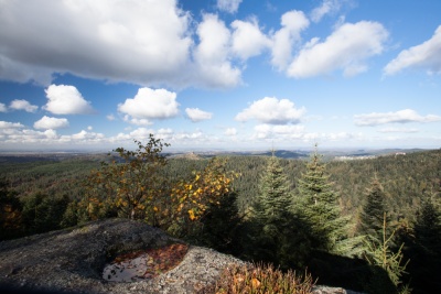 5 - Randonnée : Circuit des Rochers - Wangenbourg-Engenthal - Photo 4