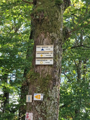 9 - Randonnée : Circuit Val de la Mossig - Romanswiller - Photo 6