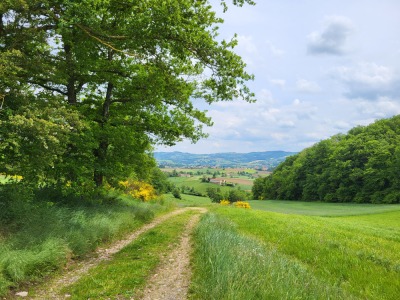 Boucle cyclotouristique  - Aveize - Aveize - Photo 4