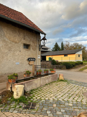 10 - Randonnée : Circuit du Tire-Lire - Cosswiller - Photo 1