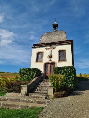 13 - Randonnée : Circuit du Stephansberg - Wasselonne - Photo 1