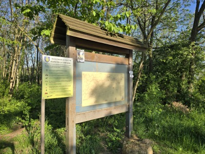 13 - Randonnée : Circuit du Stephansberg - Wasselonne - Photo 6