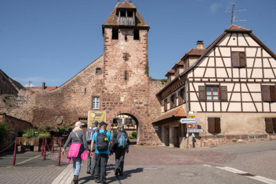 15 - Randonnée : Circuit du Wangenberg - Marlenheim - Photo 1