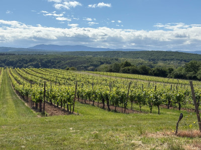 15 - Randonnée : Circuit du Wangenberg - Marlenheim - Photo 2
