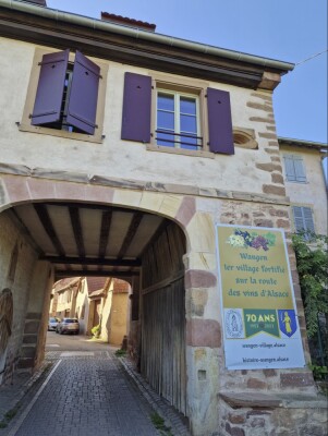 15 - Randonnée : Circuit du Wangenberg - Marlenheim - Photo 4