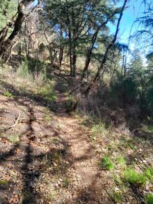 Rando Roche des vents 8km - Saint-Alban-d'Ay - Photo 2