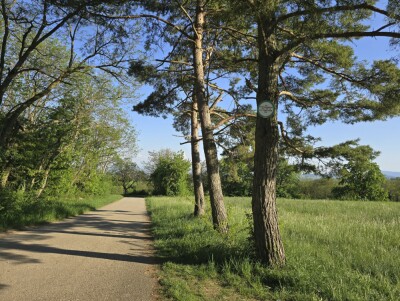 Photo prise liée au parcours