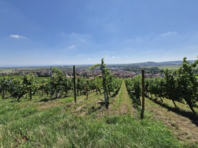 Photo prise liée au parcours