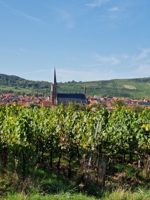 18 - Randonnée : Circuit de Westhoffen - Westhoffen - Photo 3