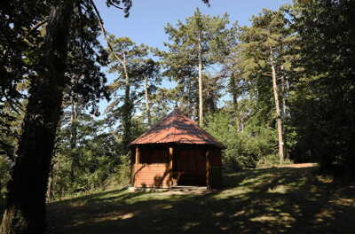 18 - Randonnée : Circuit de Westhoffen - Westhoffen - Photo 5