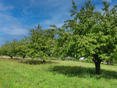 18 - Randonnée : Circuit de Westhoffen - Westhoffen - Photo 8