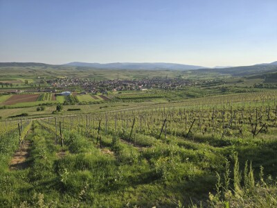 19 - Randonnée : Circuit du Bruderbach - Westhoffen - Photo 2