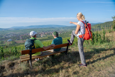 19 - Randonnée : Circuit du Bruderbach - Westhoffen - Photo 4