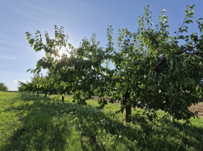19 - Randonnée : Circuit du Bruderbach - Westhoffen - Photo 5