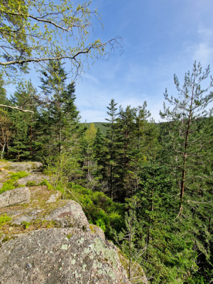 1 - Randonnée : Circuit Panorama Sud - Wangenbourg-Engenthal - Photo 2
