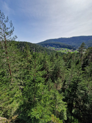 1 - Randonnée : Circuit Panorama Sud - Wangenbourg-Engenthal - Photo 1