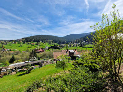 1 - Randonnée : Circuit Panorama Sud - Wangenbourg-Engenthal - Photo 6