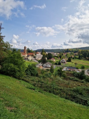1 - Randonnée : Circuit Panorama Sud - Wangenbourg-Engenthal - Photo 8