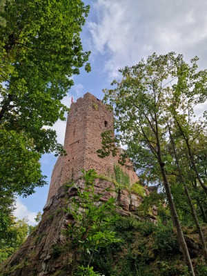 1 - Randonnée : Circuit Panorama Sud - Wangenbourg-Engenthal - Photo 9