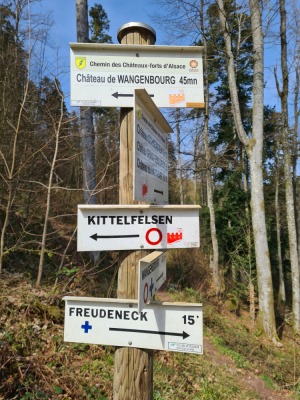 2 - Randonnée : Circuit Médiéval - Wangenbourg-Engenthal - Photo 5