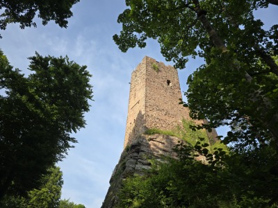 2 - Randonnée : Circuit Médiéval - Wangenbourg-Engenthal - Photo 7